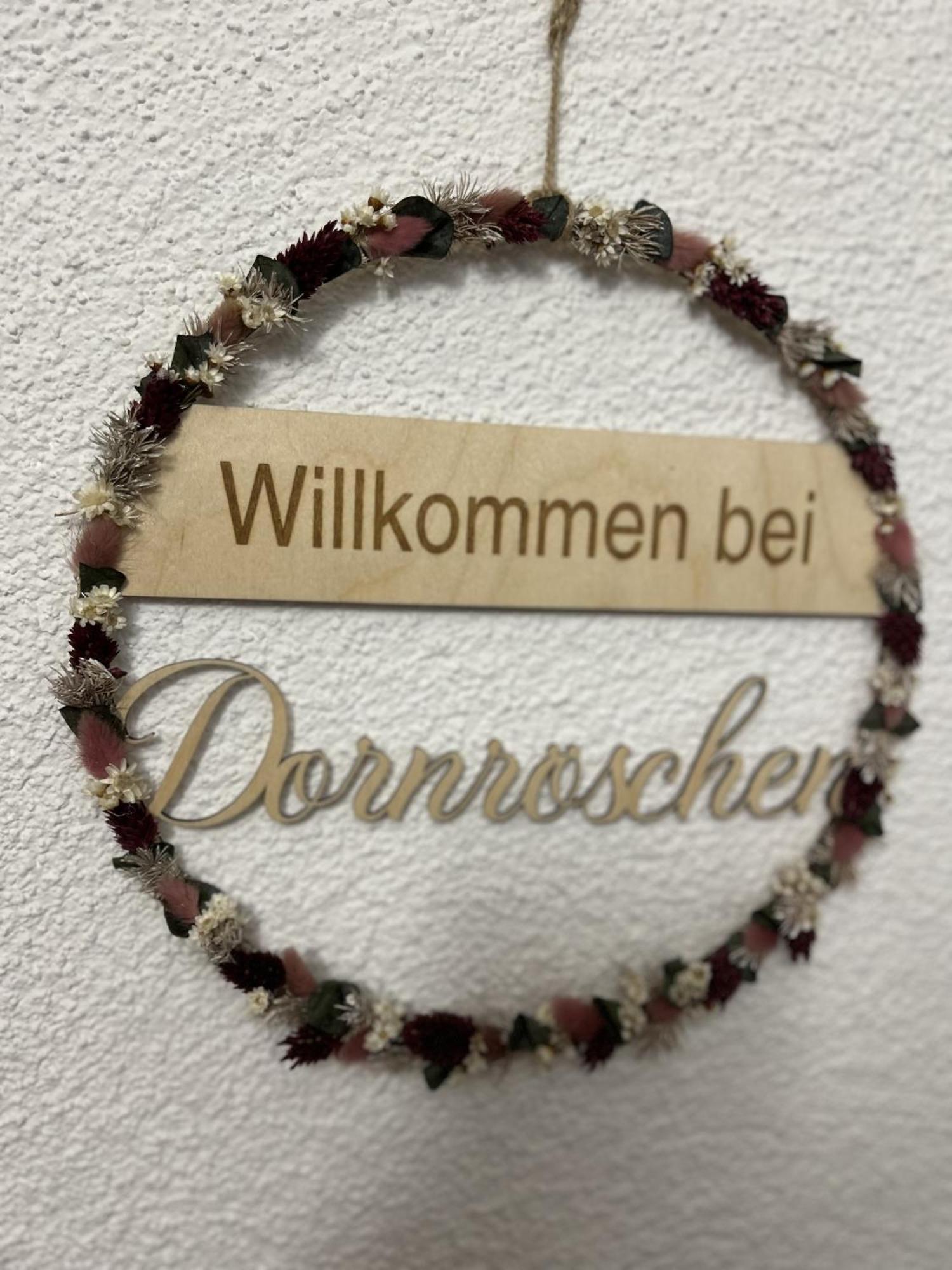 Dornroeschen Apartment Dinkelsbühl Екстериор снимка